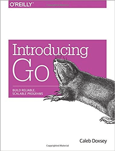 Introducing Go 缩略图